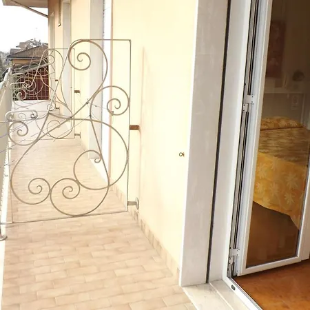 Alga Bellaria-Igea Marina