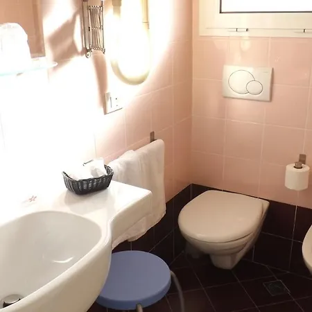 Alga Bellaria-Igea Marina