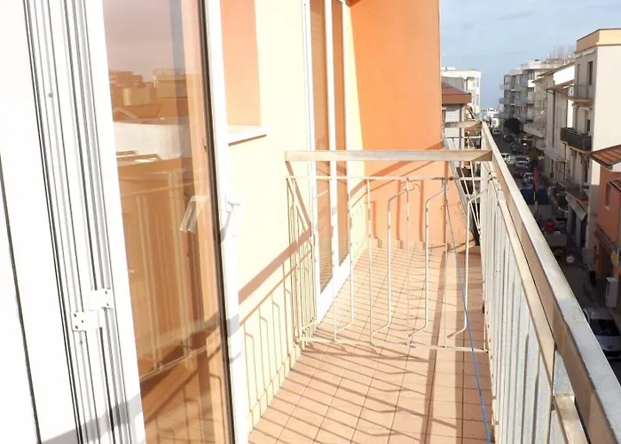 Alga Bellaria-Igea Marina