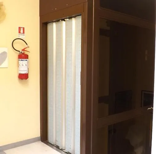 Alga Bellaria-Igea Marina