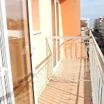 Alga Bellaria-Igea Marina