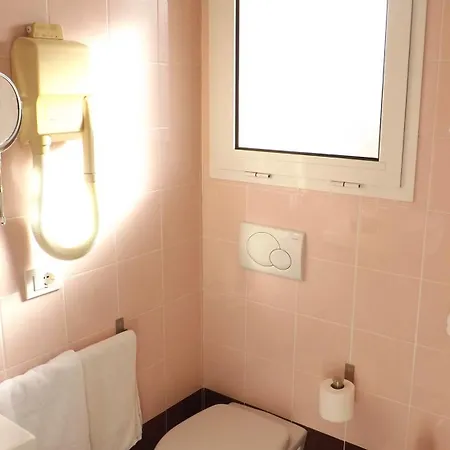 Alga Bellaria-Igea Marina