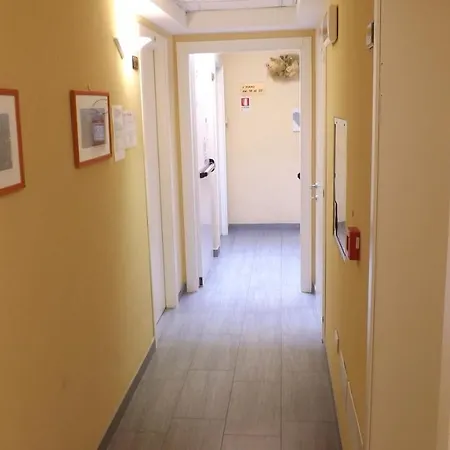 Alga Hotel 3*